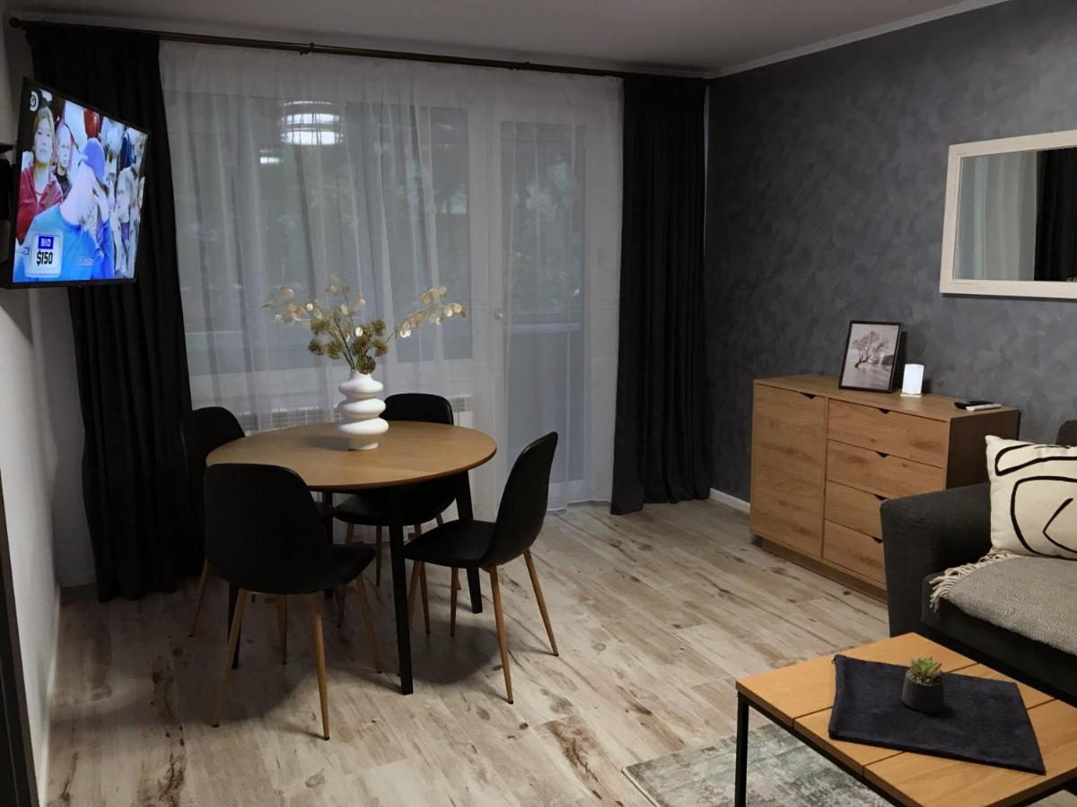 Homely Apartment Сучава Экстерьер фото